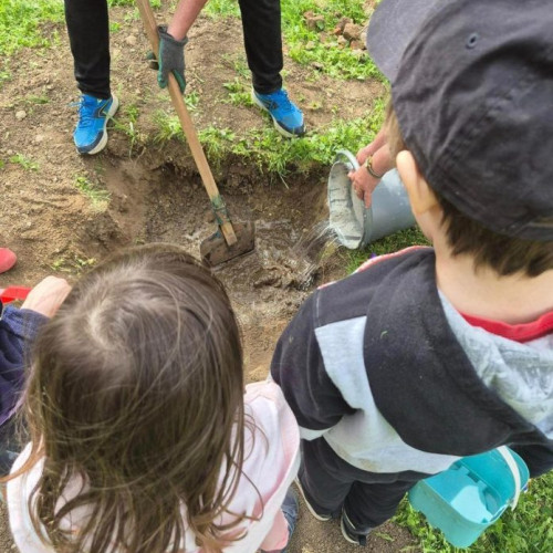 Elevi și grădinițari bucureșteni au plăntat copaci și flori în Parcul Tineretului, împreună cu ALPAB și Primarul Nicușor Dan. Acțiunea face parte din Săptămâna Verde și are sprijinul specialiștilor de la Direcția Mediului din Primăria Municipiului București.