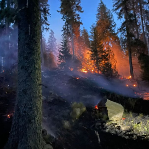 Un Alt Incendiu de Pădure În Munții Gurghiului, Solicitat Ajutor Aerian