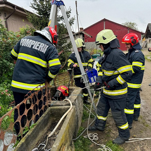 Câine răscumpărat de pompierii sătmăreni dintr-o fântână de 10 metri