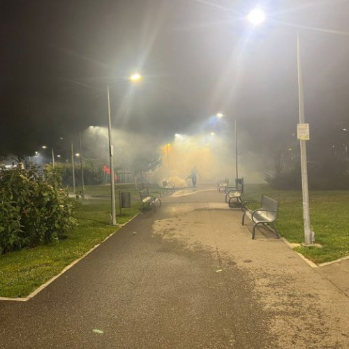 Chiajna: Acțiuni de dezinsecție împotriva larvelor de insecte în zona orașului