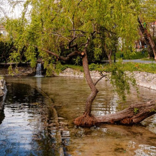 Cuva Lacului Mare din Parcul Cișmigiu a fost umplută cu apă după două luni de lucrări de reparații efectuate de Primăria Capitalei și Trustul de Clădiri Metropolitane