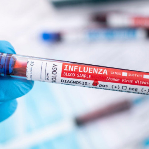 Virusul gripal e cel mai probabil să declanșeze o nouă pandemie. Cercetătorii se tem și de un patogen misterios numit „Boala X”