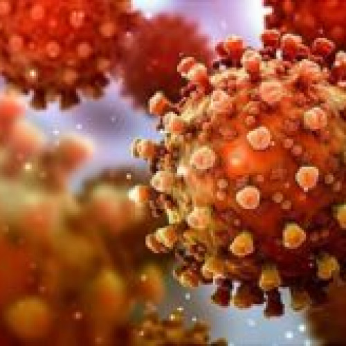 Virusul gripei aviare H5N1 creează îngrijorare la OMS - Organizația Mondială a Sănătății avertizează cu privire la amenințarea de transmitere de la animale la oameni