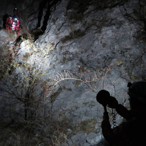 Salvamont Romania cere sprijin pentru gasirea unei persoane disparute in urma cu 6 zile din Pitești, care a declarat ca va pleca "pe munte", fara sa mai dea semne de viata.