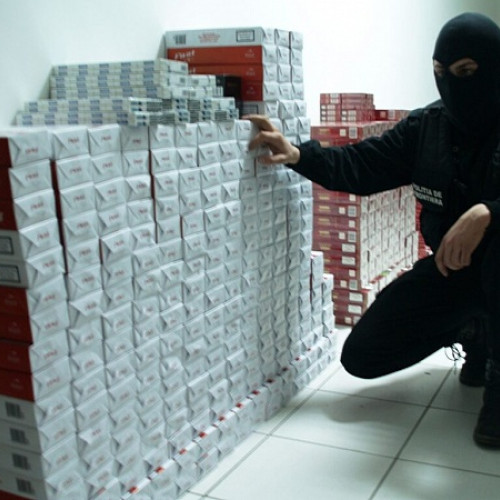 Percheziție în Satu Mare: Mii de pachete cu țigări de contrabandă găsite, un bărbat reținut pentru 24 de ore