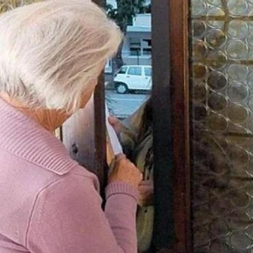 Golanul care a furat economiile unei bătrâne a fost prins de polițiști în Satu Mare