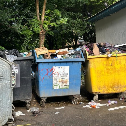 Amenzi de 7.000 de lei pentru căutarea prin gunoaie: Locuitorii din Târgu Mureș, avertizați să nu mai arunce gunoiul pe străzi