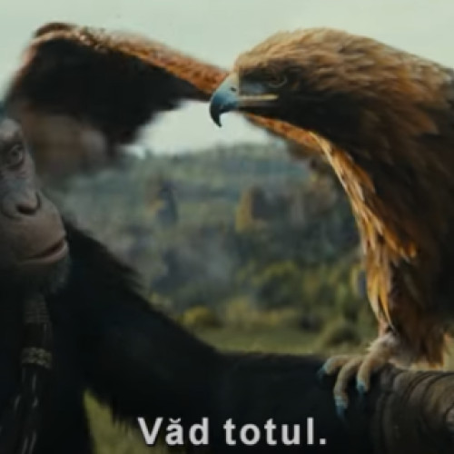 Premiera filmului "Planeta maimuțelor: Noul Regat" a avut loc pe marile ecrane din România pe 10 mai, cu avanpremieră din 8 mai. Filmul de acțiune și aventură, regizat de Wes Ball, urmărește lupta dintre maimuțe și oameni și prezintă dileme morale într-o poveste plină de suspans. Producătorii au creat o lume "locuită" și au folosit tehnologia CGI și efectele vizuale pentru a realiza această atmosferă. Acțiunea are loc într-un viitor distopic în care maimuțele sunt specia dominantă, iar o nouă conducere tiranică schimbă cursul evenimentelor. Filmul este bazat pe personajele create