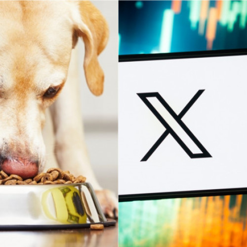 BBC: Droguri de sute de ori mai letale decât heroina sunt ascunse în mâncarea pentru câini și vândute de traficanți pe X