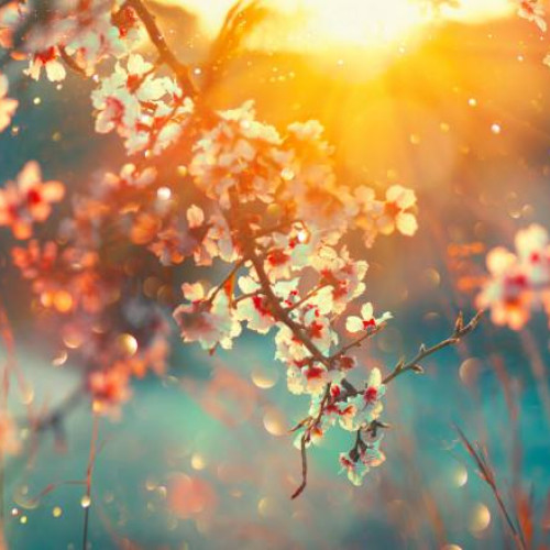 Prognoza vremii pentru mini vacanţa de Paște și 1 Mai: temperaturi ridicate și precipitații cu excedent în regiunile sud-estice