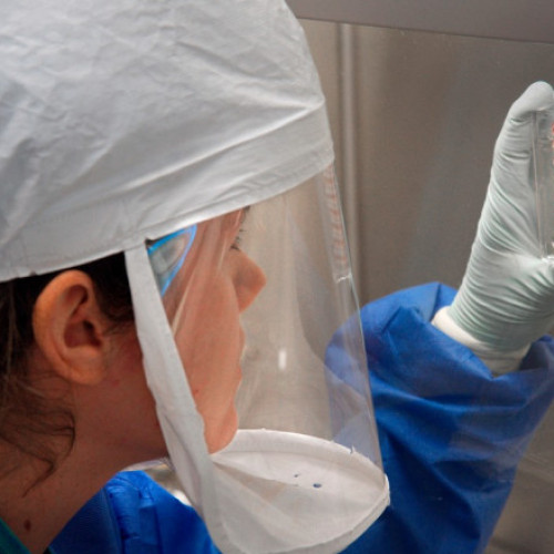 Urmări ale virusului gripal al păsărilor, găsite în laptele de băut al statelor unite