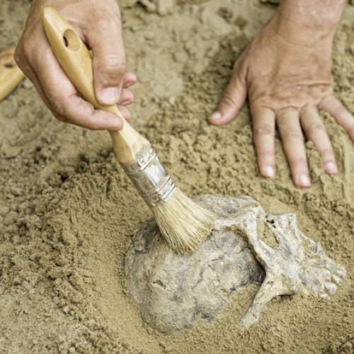 13 rămăşiţe umane găsite în curtea Spitalului Vaslui. Posibili rămăşiţe dintr-un cimitir vechi