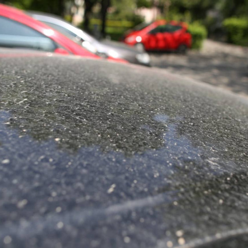 Praful saharian a traversat România și a depus pe nes