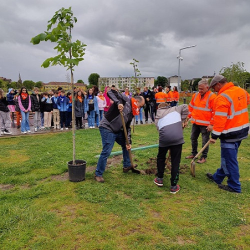 Beneficiarii programul "Raza de Speranței" din Satu Mare plantează un tei în Parcul Cubic pentru a înlocui un arbore rupt de un adolescent imprudent