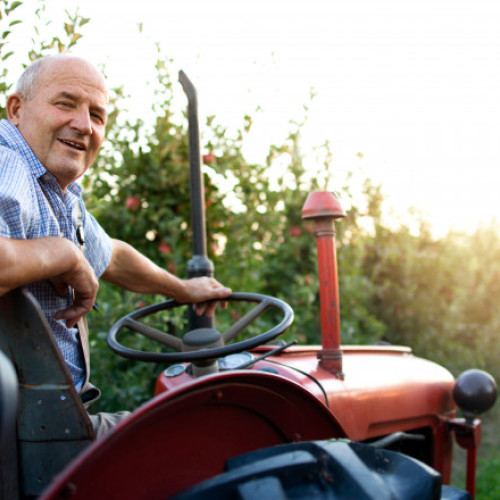 Eurodeputații au revizuit politica agricolă. Fermele mici, exceptate de la controale şi sancţiuni pentru nerespectarea unor norme