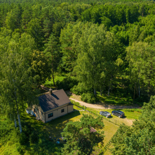 USR susține că a reuşit să scoată din noul Cod Silvic prevederi care ar fi distrus iremediabil pădurile din România