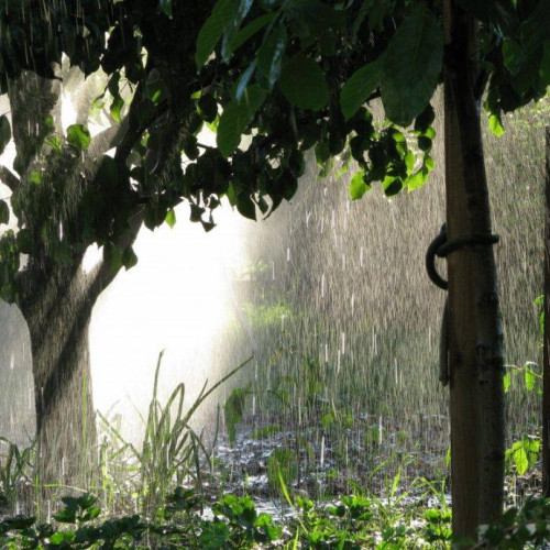 Avertizare meteorologică în Dâmbovița: Weekend cu îmbunătățirea vremii