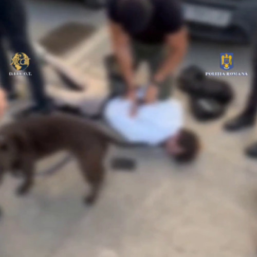 Tineri reținuți pentru trafic de droguri în Pitești!