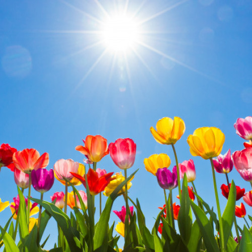 Prognoza meteo pentru luna mai: Vremea va fi mai caldă decât de obicei, dar vor fi și unele ploi