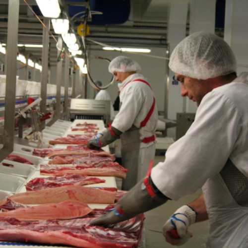 Controale sanitare înainte de Paște în județul Brașov, șapte amenzi date și produse confiscate