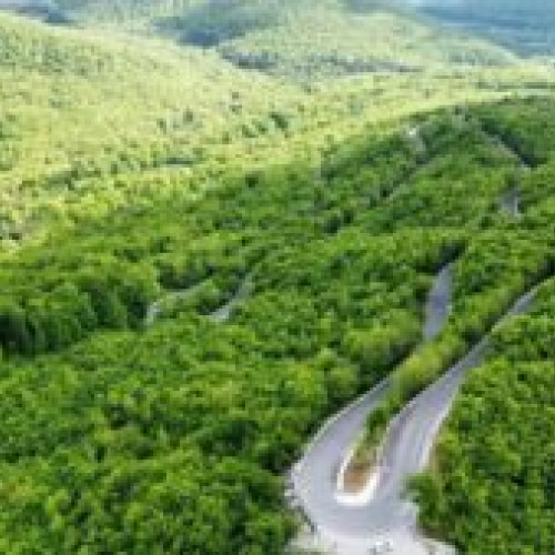 S-a deschis primul lot din Transapuseana, cea mai scumpă cale județeană din România!