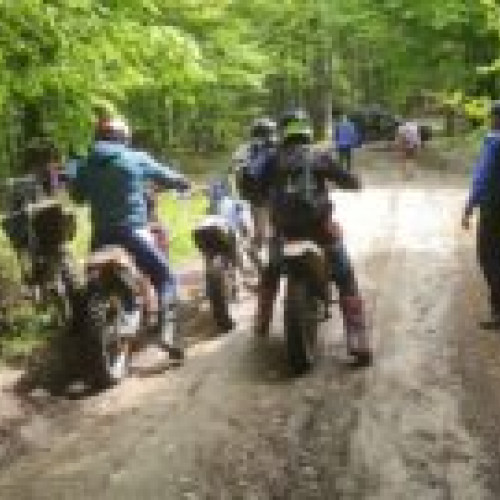 Jandarmii din Brașov aplică amenzi pentru pătrunderi ilegale în fondul cinegetic. 9.000 lei acțiune în Poiana Mărului, Vulcan și Măgura Codlei