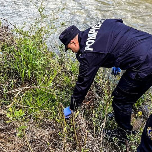 Pompierii din Câmpeni au ecologizat malul Arieșului de gunoaie în Ziua Pământului