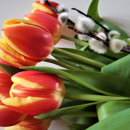 Aproape 1,8 milioane de români își sarbatoresc onomastica de Florii! Iată care sunt cele mai frecvente nume de fete și băieți!