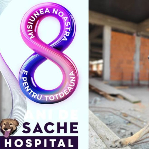 Asociația Sache construiește un spital veterinar la Tărtășești pentru cazurile sociale