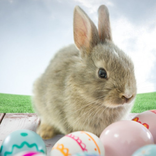 Săptămâna Mare a început pe 29 aprilie 2024. Semnificații și tradiții