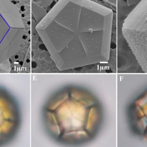 Video Procesul extrem de rar prin care au luat naștere plantele pe Pământ a fost recreat de oamenii de știință
