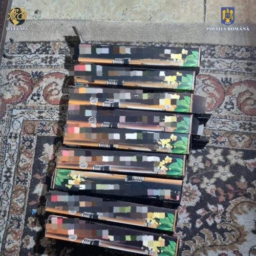 Bărbat reţinut pentru cultivarea canabisului într-un apartament din Bucureşti