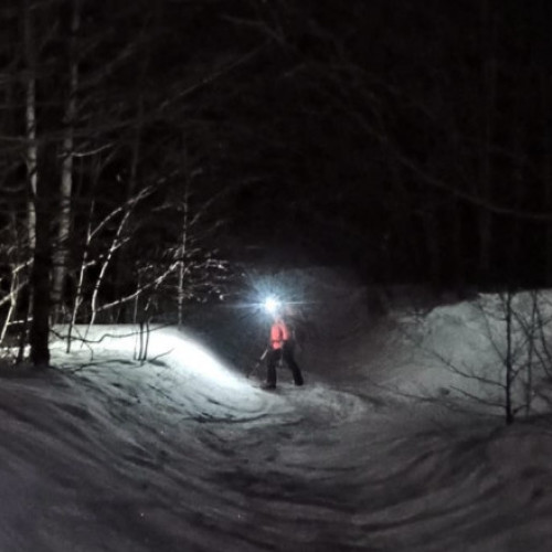 Aproape 30 de ucraineni, morți în încercarea de a evita războiul prin trecerea ilegală a frontierei cu România