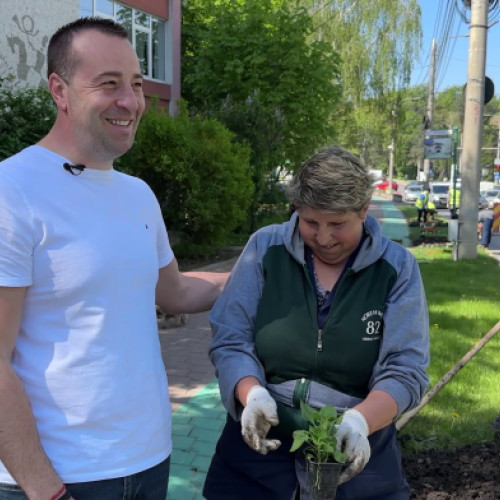Suceava devine capitala florilor. 350.000 de flori vor fi plantate de viceprimarul Harșovschi în oraș. VIDEO.