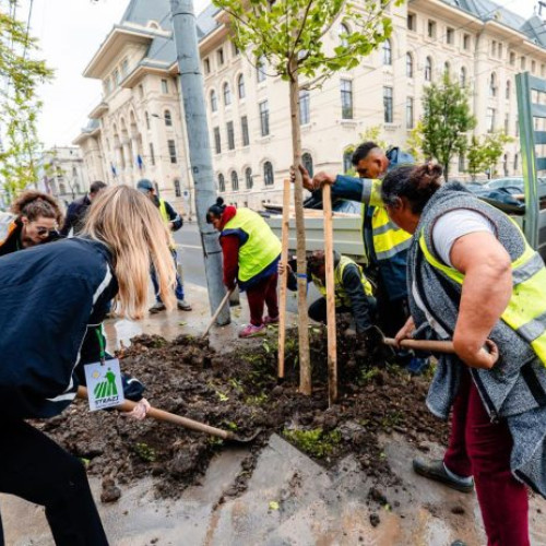 100 de arbori tineri, plantați în Parcul Cișmigiu în proiectul "Coroana Verde