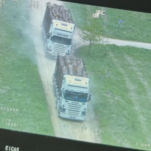 Două transporturi ilegale de lemne, descoperite de polițiștii din Brașov cu ajutorul unui elicopter