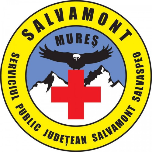 Salvamont Mureș avertizează asupra prezenței urșilor pe traseele montane și recomandă măsuri de siguranță pentru turiștii care vor să urce pe munte