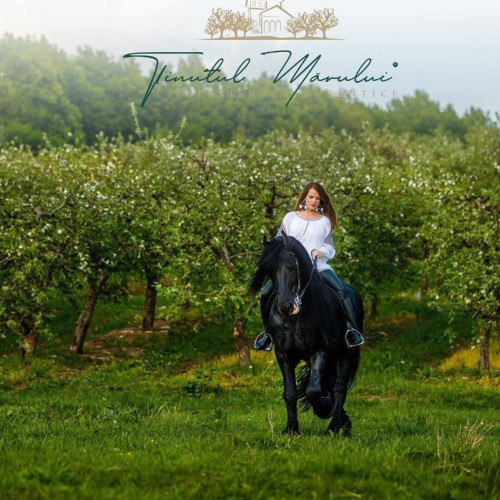 Descoperă Ținutul Mărului din Voinești, un refugiu plin de frumusețe și aventuri în mijlocul naturii din România.