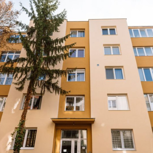 Studiul confirmă: Urcarea scărilor previne decesele din cauza bolilor cardiovasculare cu 39%