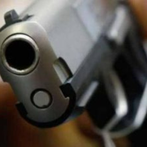 Deținerilor ilegale de arme, cartușelor și articolelor pirotehnice li s-au pus piedici.