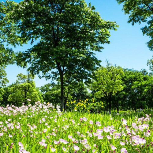 Prognoză meteo de Paște: Vreme variabilă în țară, cu ploi și rafale de vânt până la 45 km/h. Maximele vor atinge doar 19 grade.