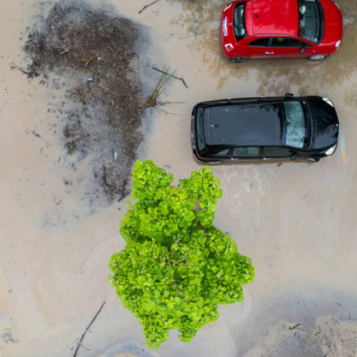 Furtunile au provocat haos în Europa: Coduri portocalii de furtuni în Germania și Olanda, grindină cât mingea de ping-pong în Franța