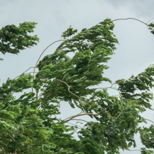 ATENȚIE: Cod galben pentru vânt puternic în mai multe județe, inclusiv litoralul - Anunțul Meteorologic