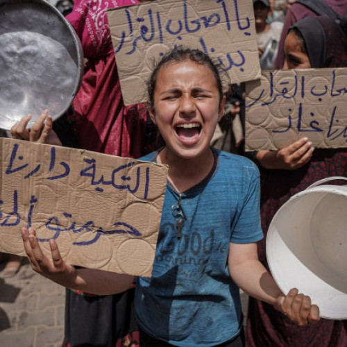 FOAMETE EXTINSE IN NORDUL TERITORIULUI PALESTINIAN DIN FÂȘIA GAZA