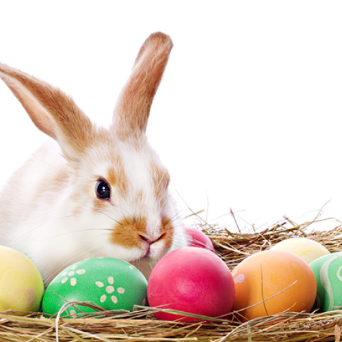 Copiii asteaptă sosirea iepurașului de Paști cu daruri, Palatul Copiilor a fost plin de veselie in Romania