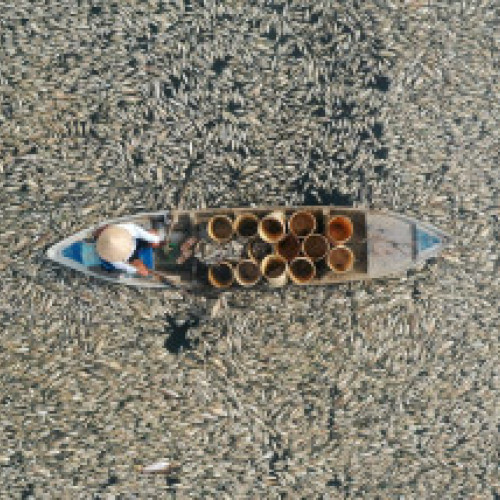 Accident grav la Casa Albă: Șoferul a decedat ca urmare a impactului cu gardul de securitate