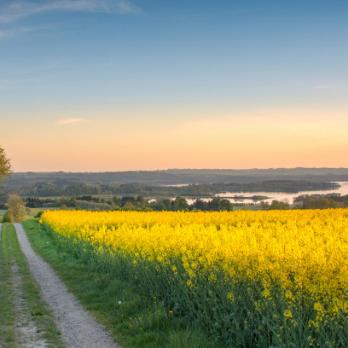 Vremea se încălzește, dar va și ploua în aproape toată țara. Prognoza meteo pentru perioada 6 - 19 mai