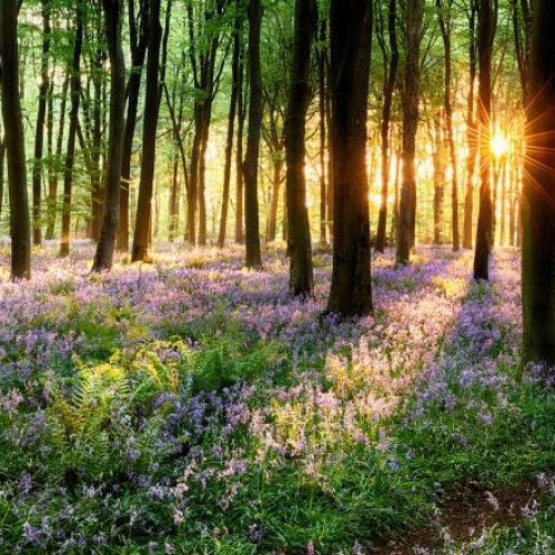 Temporile se răcesc în Muntenia după un start călduros în săptămână