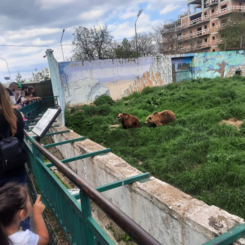 Grădina Zoologică din Târgoviște a fost o destinație de vacanță populară pentru turiști în ultimele zile