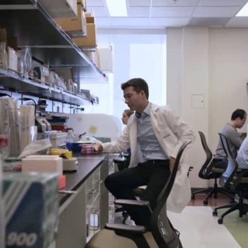 Savantul aiudean revin în lumina reflectoarelor cu o descoperire impresionantă în cercetarea sa! Ce strategie inovativă a fost prezentată de Pașca și colegii săi în prestigioasa revistă Nature pentru tratamentul sindromului Timothy